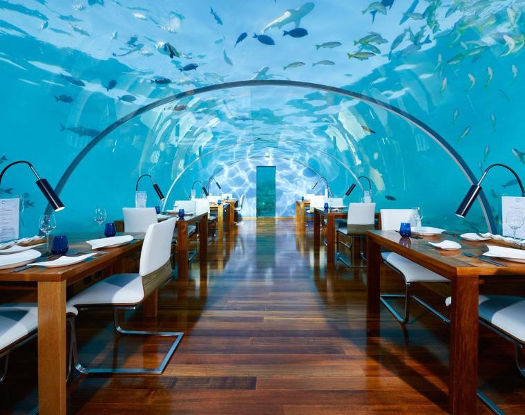 夢幻海洋世界也能吃大餐？馬爾地夫海底餐廳全攻略！