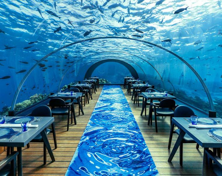 夢幻海洋世界也能吃大餐？馬爾地夫海底餐廳全攻略！