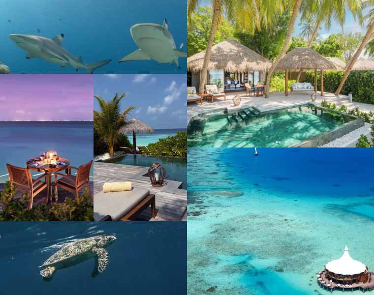 BAROS MALDIVES 傳奇之上，夢想啟航於印度洋上的天堂花環